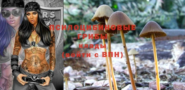 индика Мамадыш