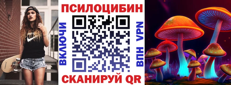 дарнет шоп Люберцы Галлюциногенные грибы GOLDEN TEACHER
